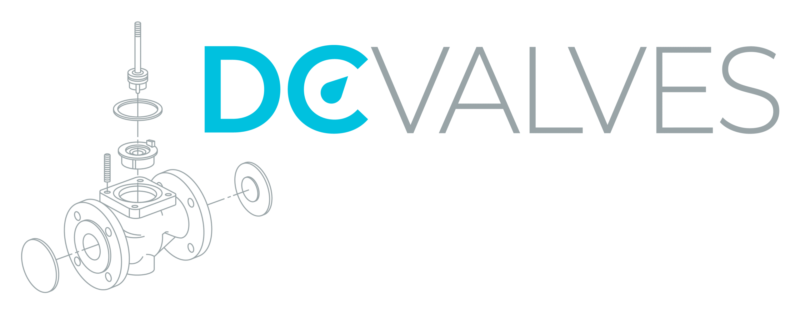 Accueil dc valves logo rvb